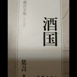 莫言《酒国》11