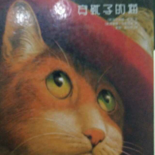 穿靴子的猫