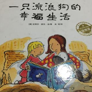 一只流浪狗的幸福生活