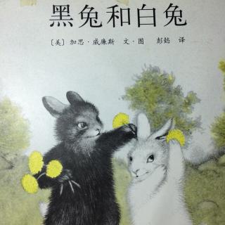 黑兔和白兔🐰🐰