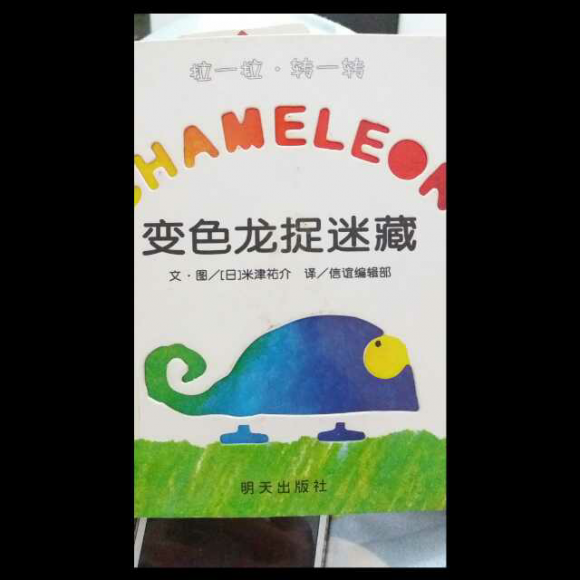 变色龙捉迷藏