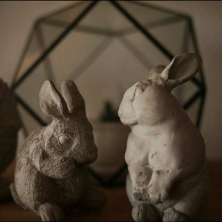 兔子——多蒽第十二期