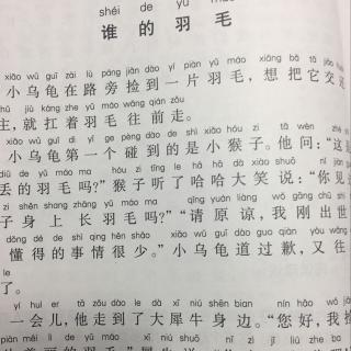 谁的羽毛