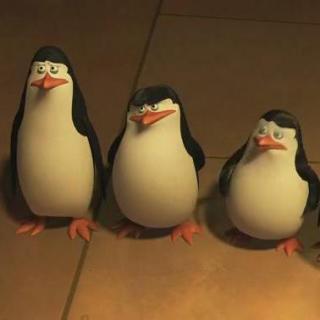 Penguins of Madagascar 01
