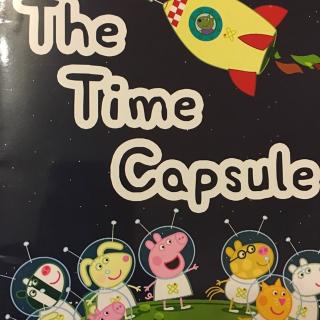 粉猪29thetimecapsule