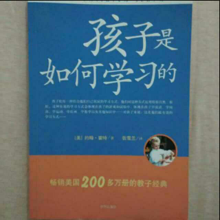 孩子是如何学习的 第一章 孩子的游戏和实验(5)