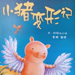 【No妈讲故事】小猪变形记--聪明豆绘本系列