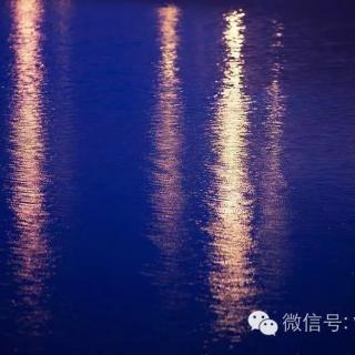 【发呆小憩.南方的夜】Vol.7