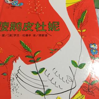 傻鹅皮杜妮