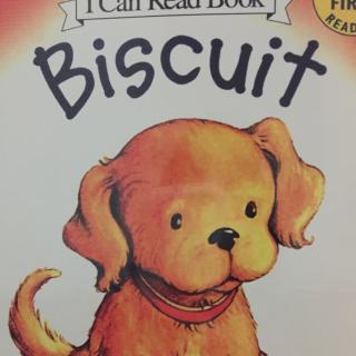 Biscuit