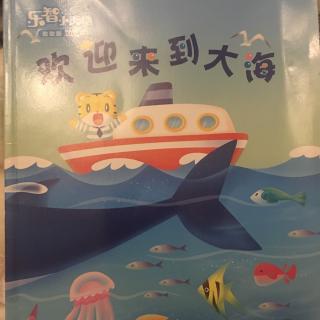 【乐智小天地】《欢迎来到大海》