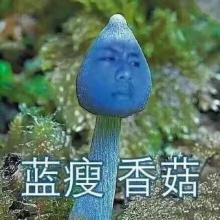 PPAP蓝瘦香菇