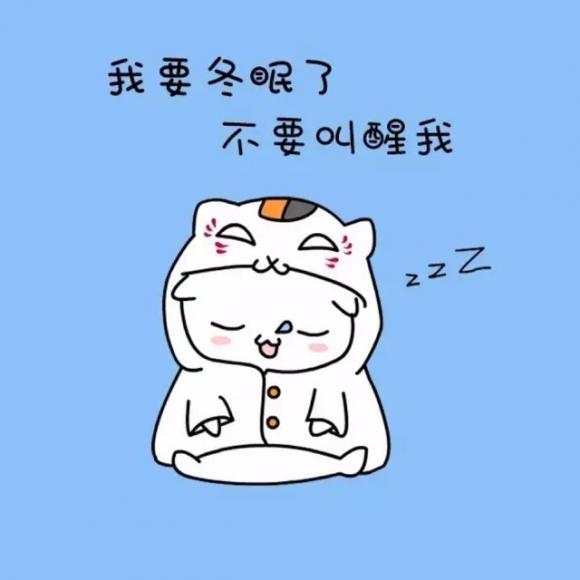 我在三十岁的第一年:17.恋爱是一场弱肉强食的生物竞赛