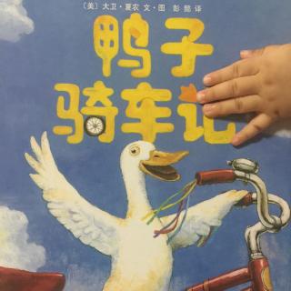 鸭子骑车记