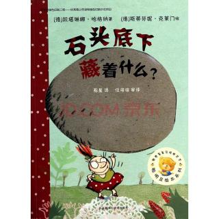 【绘本故事204】--《石头底下藏着什么》