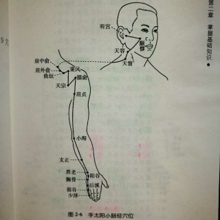 手太阳小肠经