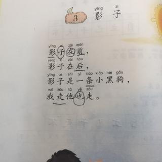 一年级课文3影子