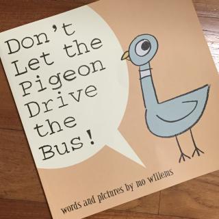 Don't Let the Pigeon Drive the Bus！（嘟嘟版）