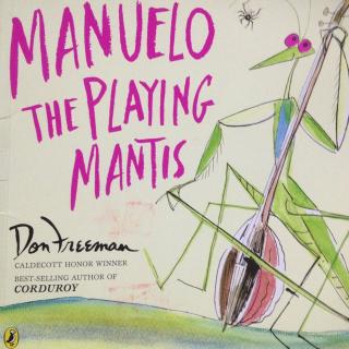 Manuelo the playing mantis- gleb