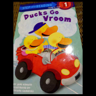 Ducks Go Vroom讲解版