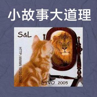 小猫的倾听