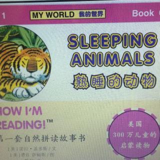 sleeping animals