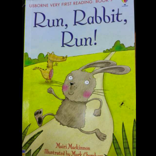 Run,  Rabbit,run