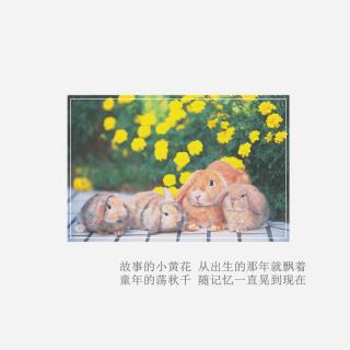 没加bgm，智障一般。。。