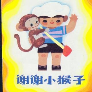 谢谢小猴子🐒