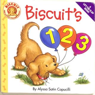 Biscuit's 123