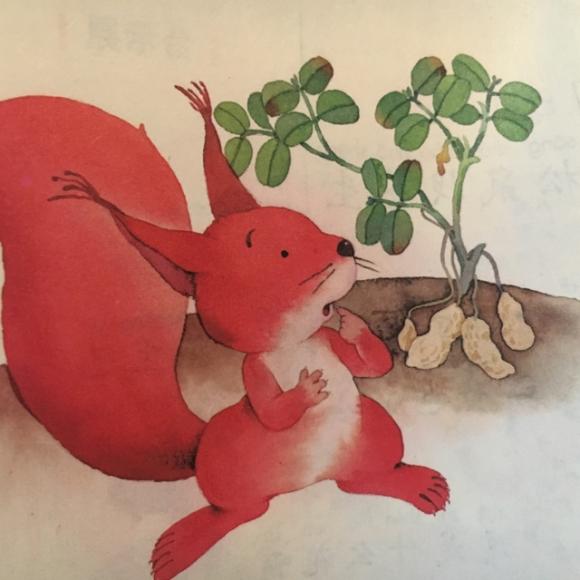 《小松鼠找花生》