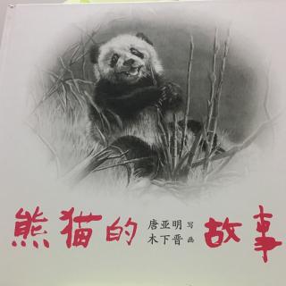 熊猫的故事🐼