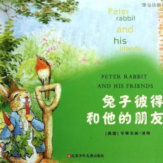 小兔彼得和他的朋友（一）