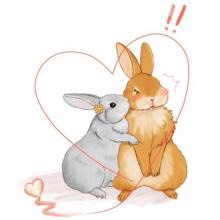 大兔子和小兔子的故事