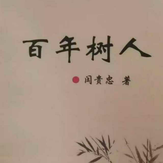 《百年树人》之“三无”教育  声音：张丽笳