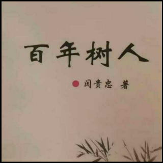 《百年树人》之帮孩子站起来—教育实验中的几点思考 声音:张丽笳