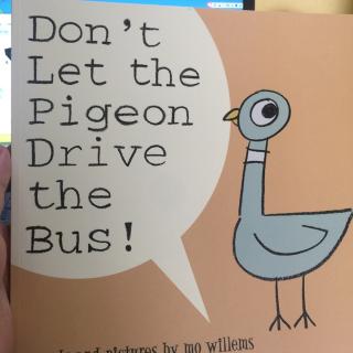 Don't let the pigeon drive the bus-千万别让鸽子开巴士（幼稚绘）