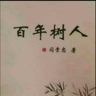 《百年树人》之成长不能数字化  声音：张丽笳