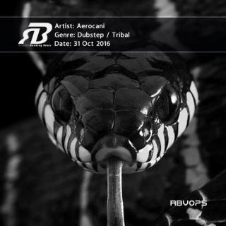 Aerocani - Rankingbeats Various 075 