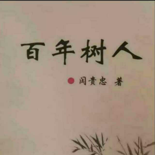 《百年树人》之教育需有思路  声音：张丽笳