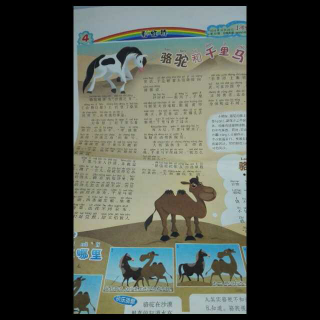 木兰一家的故事书包《骆驼和千里马》