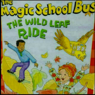 神奇校车The wild leaf ride全本