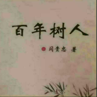 《百年树人》之不是做对了，是习惯了  声音：张丽笳