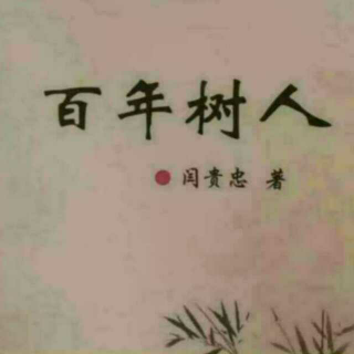 《百年树人》之家长的位置  声音：张丽笳