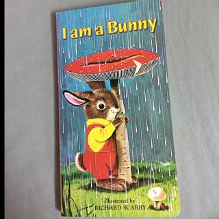 I am a Bunny