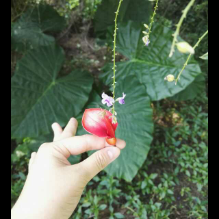 生活如雨，请撑伞原谅