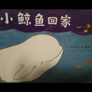 小鲸鱼回家_50