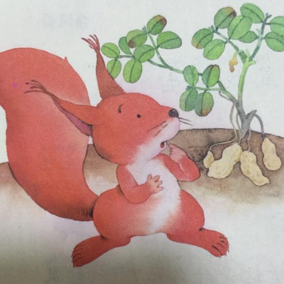 麟麟讲故事:小松鼠找花生