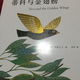 蒂科与金翅膀