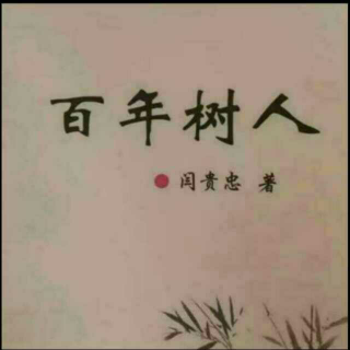 《百年树人》之不言之教  声音：张丽笳